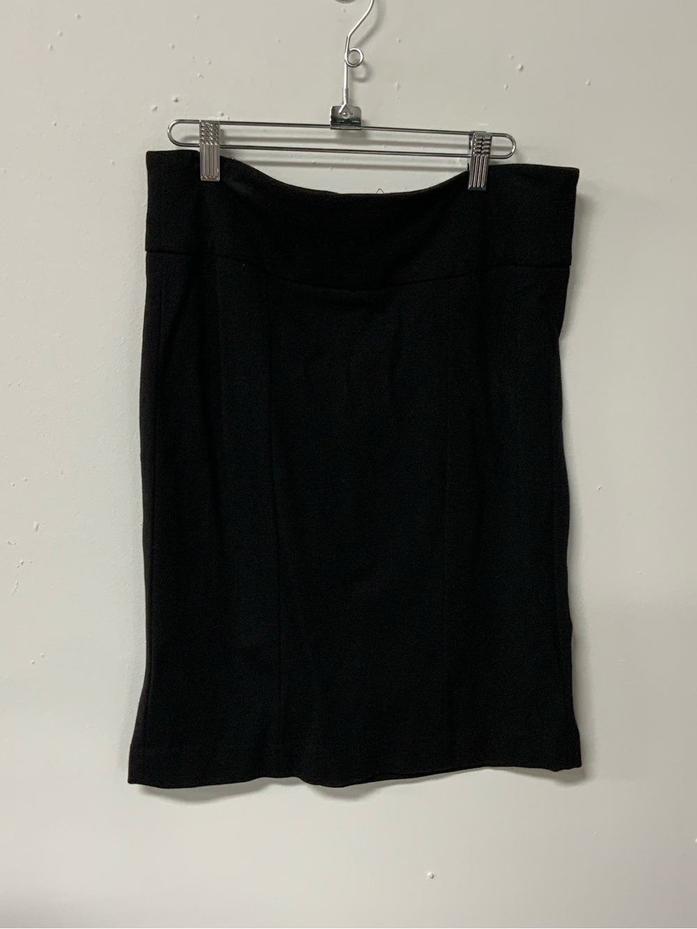 CAbi skirt